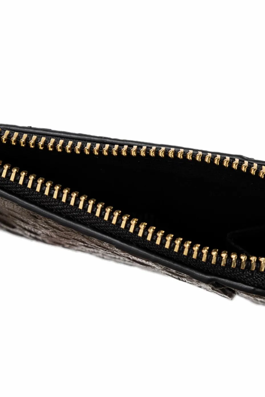 AllSaints GREEN Wallet ‘Remy’
