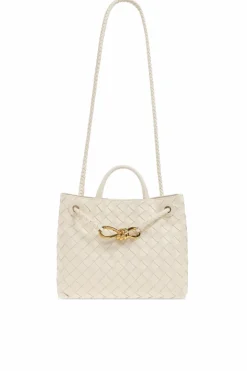Bottega Veneta cream Handbag Andiamo Small