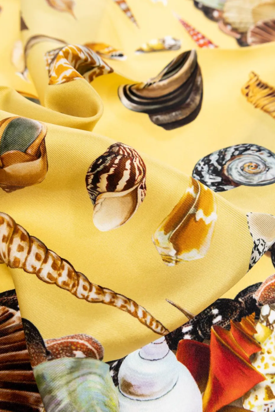 Dolce & Gabbana MULTICOLOUR Silk scarf with print
