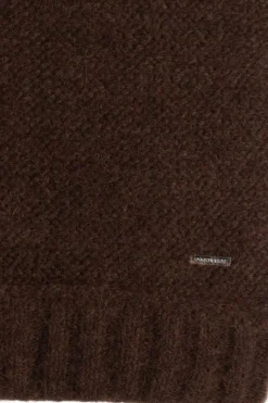 Dsquared2 BROWN Wool scarf
