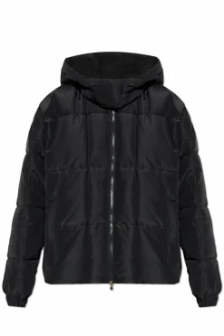 EA7 Emporio Armani BLACK Quilted insulated jacket