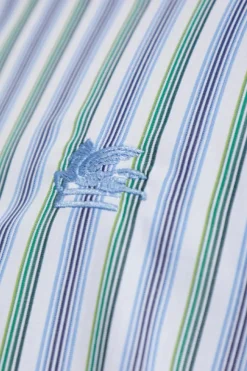 Etro BLUE Shirt with striped pattern