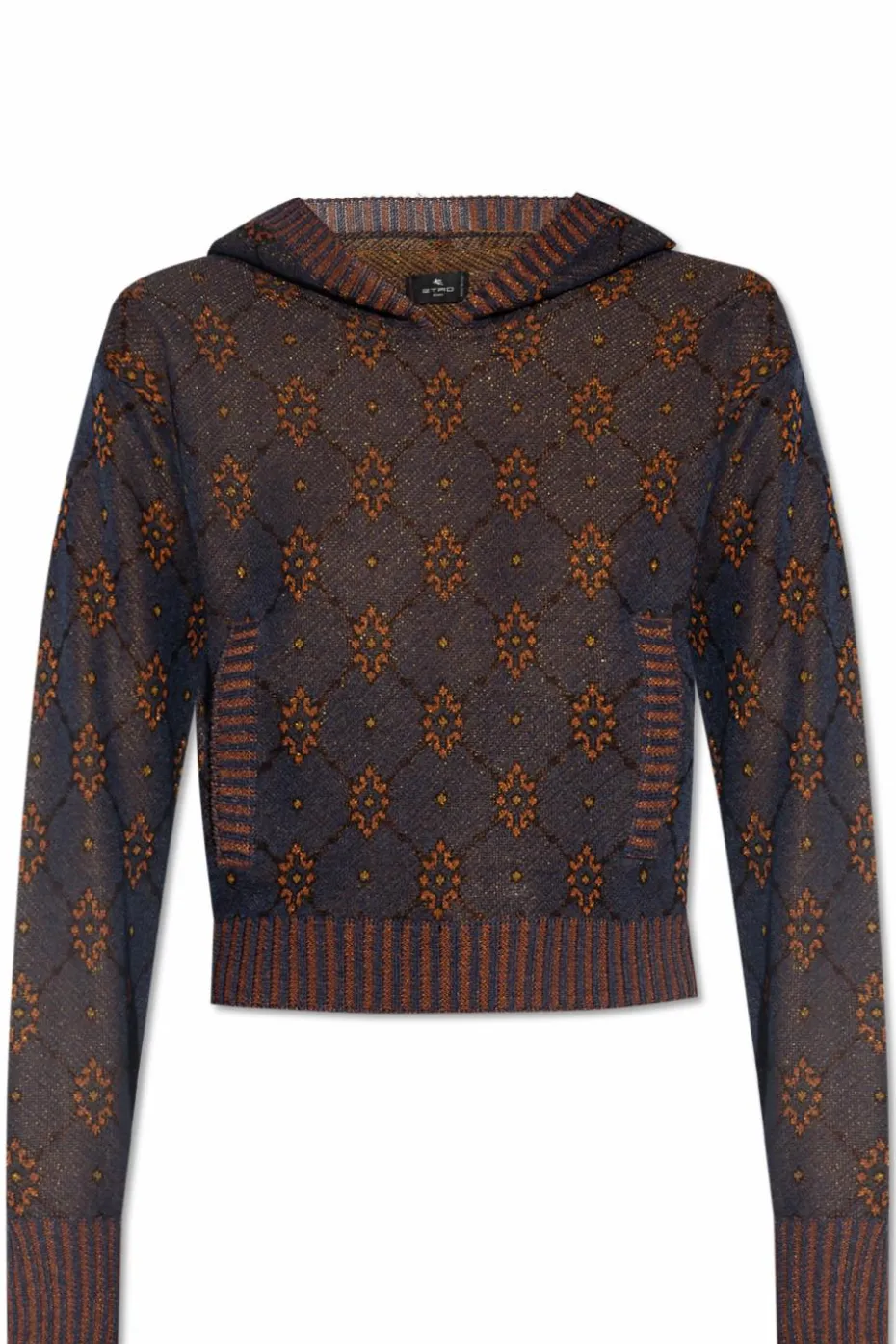 Etro BROWN Hoodie