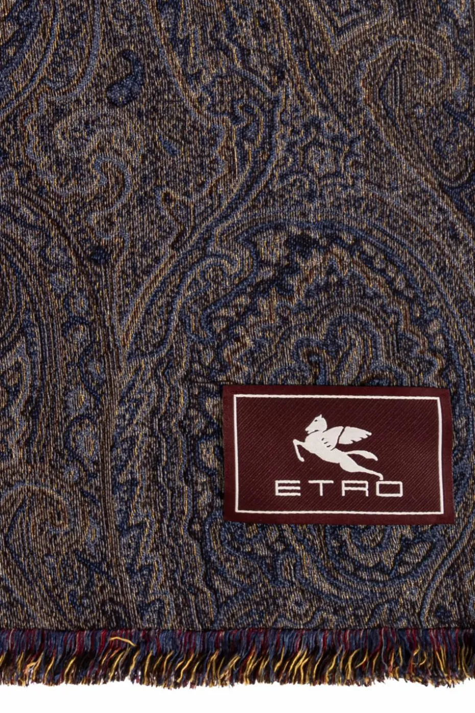 Etro MULTICOLOUR Scarf with decorative pattern