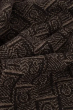 FERRAGAMO BROWN Scarf with monogram