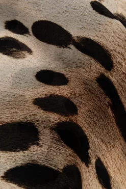 Givenchy beige Scarf with animal motif