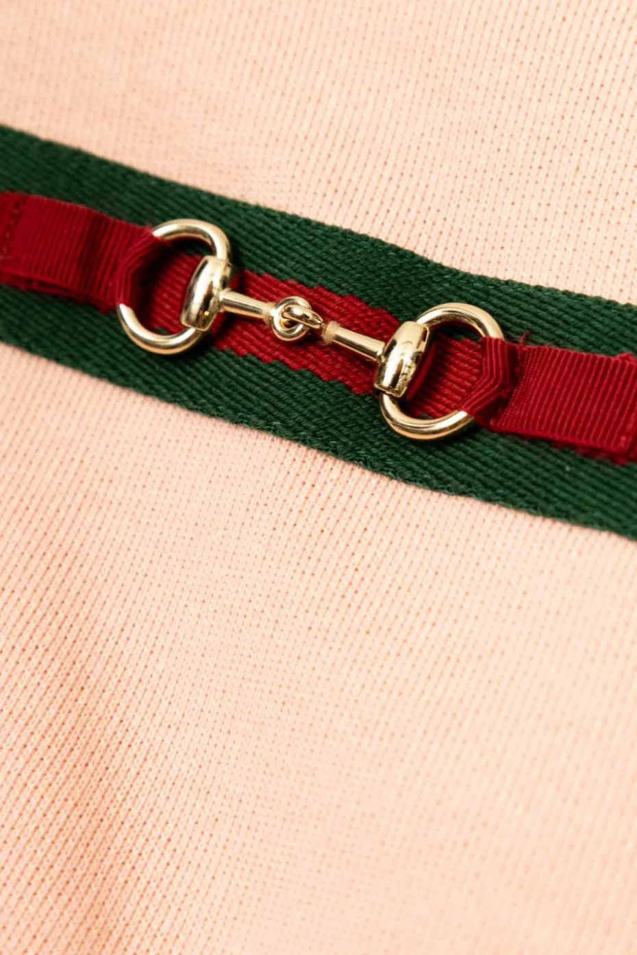 Gucci Kids PINK Hoodie