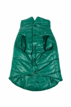 Moncler Genius GREEN Dog Vest