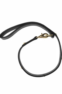 Versace Home BLACK Dog leash