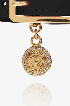 Versace Home BLACK Pet collar